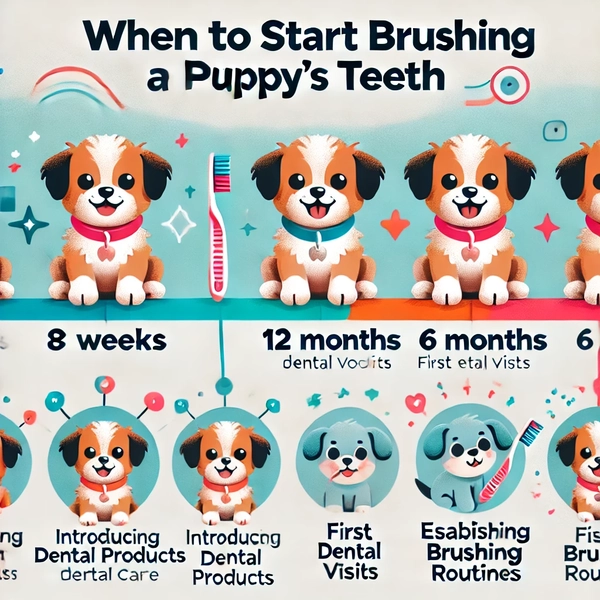 When to Start Brushing Your Puppy’s Teeth